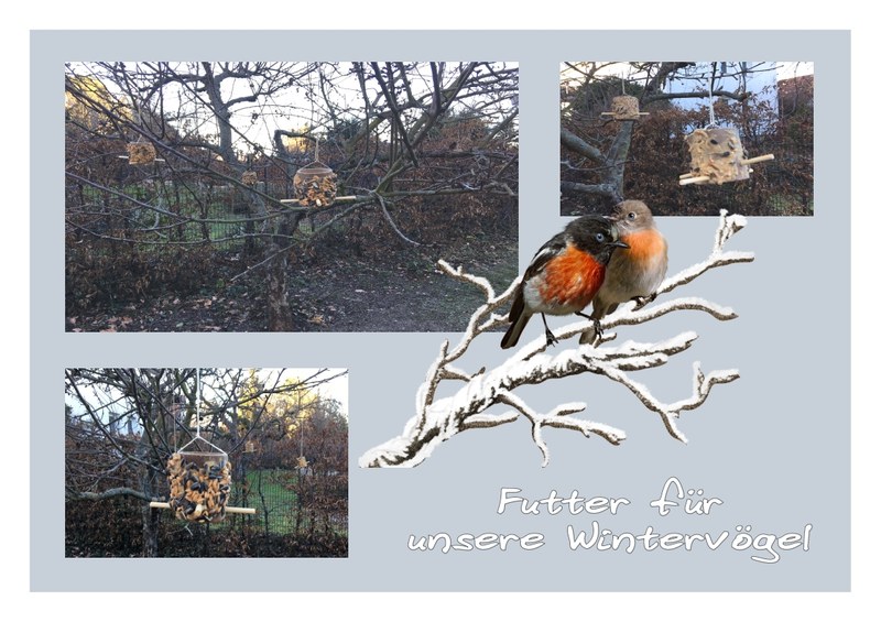 Vogelfutter.jpeg