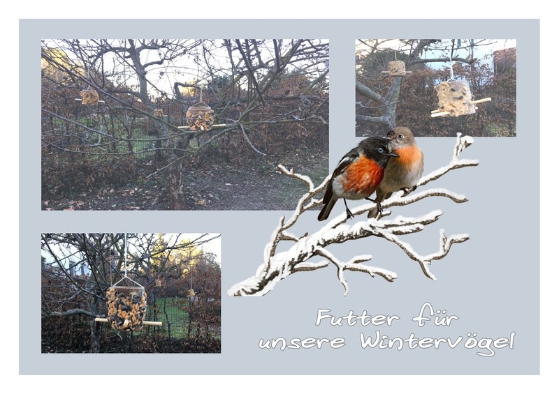 Vogelfutter.jpeg